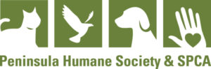 PHS-SPCA-logo-600px