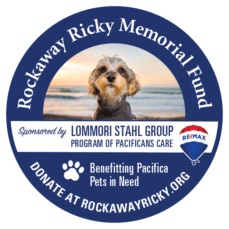 Lommori Stahl Group, Rockaway Ricky